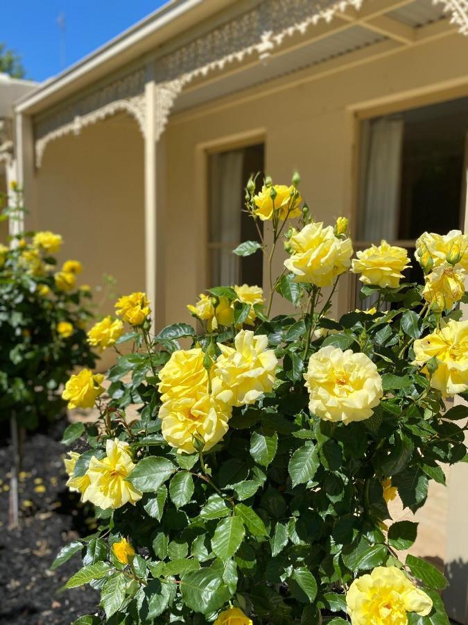 אפרטהוטל אצ'וקה Acacia Terraces מראה חיצוני תמונה